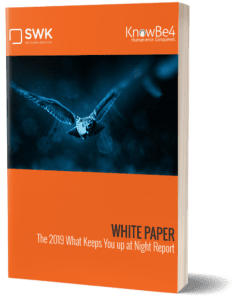 2019 What Keeps You Up at Night IT Security WP